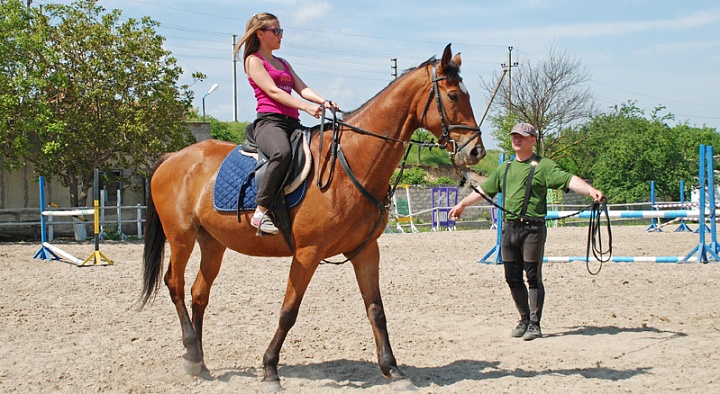 Обучение верховой езде в Нижнем Новгороде. Сервис Ultra Подарки. Купить обучение верховой езде в Нижнем Новгороде. Вы сможете попробовать курс по верховой езде и конные прогулки. Сервис UltraPodarki.ru 8 800 505 95 30. Обучение верховой езде, верховая езда в Нижнем Новгороде, верховая езда Нижний Новгород, конный спорт, уроки верховой езды, школа верховой езды, конные прогулки, верховая езда, школа верховой езды в Нижнем Новгороде, конные прогулки в Нижнем Новгороде, обучение верховой езде в Нижнем Новгороде, конный спорт в Нижнем Новгороде, уроки верховой езды в Нижнем Новгороде