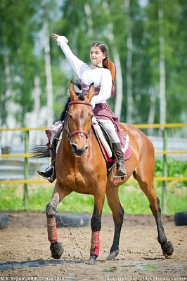 Обучение верховой езде в Нижнем Новгороде. Сервис Ultra Подарки. Купить обучение верховой езде в Нижнем Новгороде. Вы сможете попробовать курс по верховой езде и конные прогулки. Сервис UltraPodarki.ru 8 800 505 95 30. Обучение верховой езде, верховая езда в Нижнем Новгороде, верховая езда Нижний Новгород, конный спорт, уроки верховой езды, школа верховой езды, конные прогулки, верховая езда, школа верховой езды в Нижнем Новгороде, конные прогулки в Нижнем Новгороде, обучение верховой езде в Нижнем Новгороде, конный спорт в Нижнем Новгороде, уроки верховой езды в Нижнем Новгороде