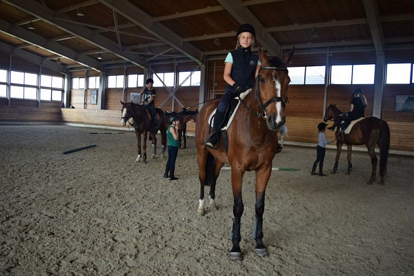Обучение верховой езде в Нижнем Новгороде. Сервис Ultra Подарки. Купить обучение верховой езде в Нижнем Новгороде. Вы сможете попробовать курс по верховой езде и конные прогулки. Сервис UltraPodarki.ru 8 800 505 95 30. Обучение верховой езде, верховая езда в Нижнем Новгороде, верховая езда Нижний Новгород, конный спорт, уроки верховой езды, школа верховой езды, конные прогулки, верховая езда, школа верховой езды в Нижнем Новгороде, конные прогулки в Нижнем Новгороде, обучение верховой езде в Нижнем Новгороде, конный спорт в Нижнем Новгороде, уроки верховой езды в Нижнем Новгороде