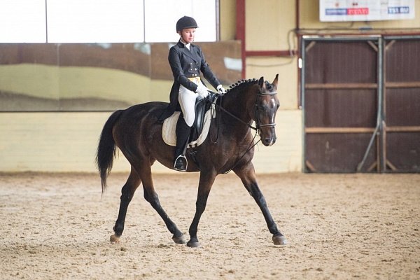 Обучение верховой езде в Нижнем Новгороде. Сервис Ultra Подарки. Купить обучение верховой езде в Нижнем Новгороде. Вы сможете попробовать курс по верховой езде и конные прогулки. Сервис UltraPodarki.ru 8 800 505 95 30. Обучение верховой езде, верховая езда в Нижнем Новгороде, верховая езда Нижний Новгород, конный спорт, уроки верховой езды, школа верховой езды, конные прогулки, верховая езда, школа верховой езды в Нижнем Новгороде, конные прогулки в Нижнем Новгороде, обучение верховой езде в Нижнем Новгороде, конный спорт в Нижнем Новгороде, уроки верховой езды в Нижнем Новгороде