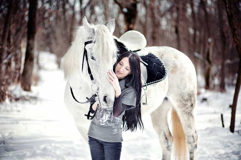 катание на лошадях в Нижнем Новгороде
