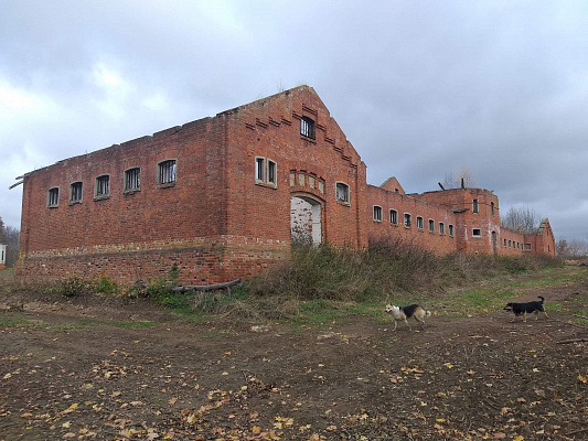 Конная прогулка в Нижнем Новгороде. Подарочные сертификаты Ultra Подарки. Купить оригинальный подарок или подарочный сертификат на Конная прогулка в Нижнем Новгороде. Сервис UltraPodarki.ru 8-800-505-9530. Катание на лошадях, Прогулка на лошади, Прогулка на лошадях для двоих, Конная прогулка, конный клуб, Конный клуб Третьяковка, конная прогулка, конная прогулка в Нижнем Новгороде