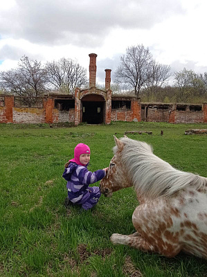Конная прогулка в Нижнем Новгороде. Подарочные сертификаты Ultra Подарки. Купить оригинальный подарок или подарочный сертификат на Конная прогулка в Нижнем Новгороде. Сервис UltraPodarki.ru 8-800-505-9530. Катание на лошадях, Прогулка на лошади, Прогулка на лошадях для двоих, Конная прогулка, конный клуб, Конный клуб Третьяковка, конная прогулка, конная прогулка в Нижнем Новгороде