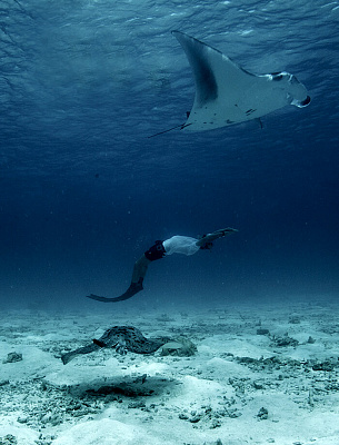 Фридайвинг в Нижнем Новгороде. Погружение без акваланга. Ultra Подарки. Фридайвинг. Обучение фридайвингу в Нижнем Новгороде. Купить подарочный сертификат на фридайвинг в Нижнем Новгороде. Школа дайвинга Навионик. UltraPodarki.ru 8 800 505 95 30. Фридайвинг отзывы, Дайвинг цены, Дайвинг клуб, Обучение дайвингу, школа дайвинга. Подводный мир. Подводное погружение, дайвинг погружение Нижний Новгород, подводное плавание Нижний Новгород, дайвинг клуб Нижний Новгород, подарочные сертификаты, глубокое погружение, погружение с аквалангом Нижний Новгород, дайвинг центр Нижний Новгород, купить дайвинг Навионик Нижний Новгород