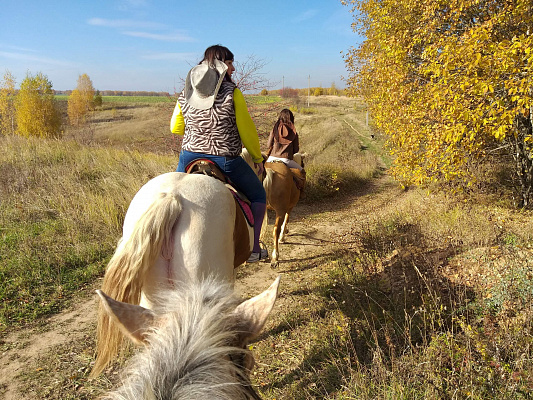 Конная прогулка для двоих в Нижнем Новгороде. Подарочные сертификаты Ultra Подарки. Купить оригинальный подарок или подарочный сертификат на Конная прогулка для двоих в Нижнем Новгороде. Сервис UltraPodarki.ru 8-800-505-9530. Катание на лошадях, Прогулка на лошади, Прогулка на лошадях для двоих, Конная прогулка для двоих, конный клуб, Казачий Конный клуб , конная прогулка, конная прогулка в Нижнем Новгороде