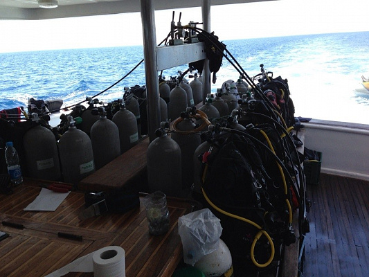 Обучение дайвингу. Дайвинг в Нижнем Новгороде. Ultra Подарки. Дайвинг. Обучение дайвингу в Нижнем Новгороде. Купить подарочный сертификат на дайвинг в Нижнем Новгороде. Школа дайвинга. UltraPodarki.ru 8 800 505 95 30. Дайвинг отзывы, Дайвинг цены, Дайвинг клуб, Обучение дайвингу, школа дайвинга. Подводный мир. Подводное погружение, дайвинг погружение Нижний Новгород, подводное плавание Нижний Новгород, дайвинг клуб Нижний Новгород, подарочные сертификаты, глубокое погружение, погружение с аквалангом Нижний Новгород, дайвинг центр Нижний Новгород, купить дайвинг Нижний Новгород