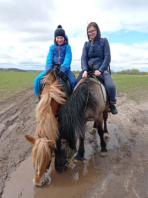 Конная прогулка в Нижнем Новгороде. Подарочные сертификаты Ultra Подарки. Купить оригинальный подарок или подарочный сертификат на Конная прогулка в Нижнем Новгороде. Сервис UltraPodarki.ru 8-800-505-9530. Катание на лошадях, Прогулка на лошади, Прогулка на лошадях для двоих, Конная прогулка, конный клуб, Конный клуб Третьяковка, конная прогулка, конная прогулка в Нижнем Новгороде