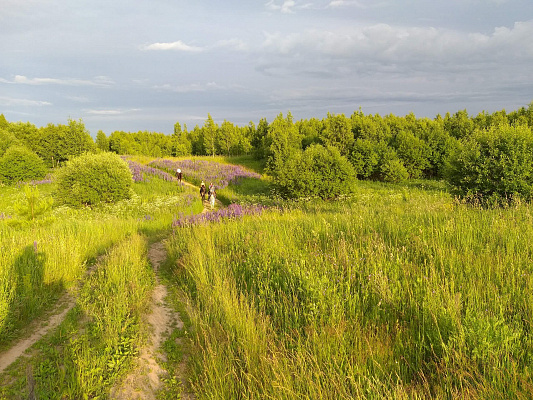 Конная прогулка для двоих в Нижнем Новгороде. Подарочные сертификаты Ultra Подарки. Купить оригинальный подарок или подарочный сертификат на Конная прогулка для двоих в Нижнем Новгороде. Сервис UltraPodarki.ru 8-800-505-9530. Катание на лошадях, Прогулка на лошади, Прогулка на лошадях для двоих, Конная прогулка для двоих, конный клуб, Казачий Конный клуб , конная прогулка, конная прогулка в Нижнем Новгороде