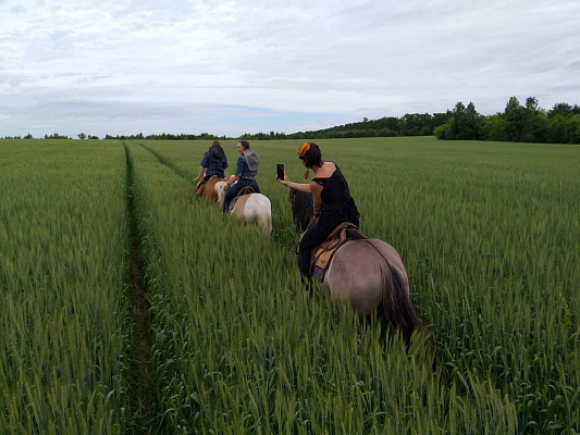Конная прогулка для двоих в Нижнем Новгороде. Подарочные сертификаты Ultra Подарки. Купить оригинальный подарок или подарочный сертификат на Конная прогулка для двоих в Нижнем Новгороде. Сервис UltraPodarki.ru 8-800-505-9530. Катание на лошадях, Прогулка на лошади, Прогулка на лошадях для двоих, Конная прогулка для двоих, конный клуб, Казачий Конный клуб , конная прогулка, конная прогулка в Нижнем Новгороде