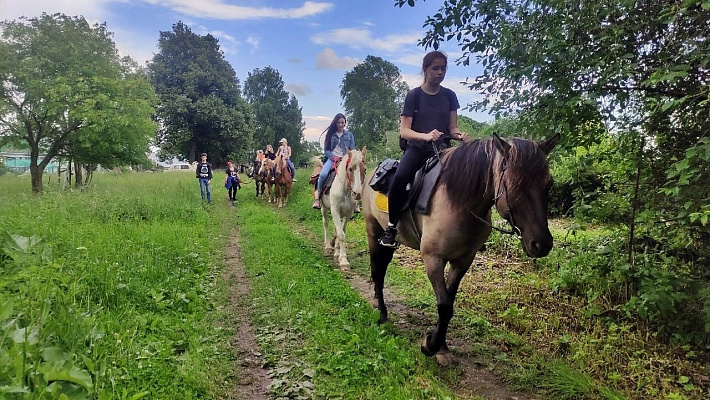 Конная прогулка в Нижнем Новгороде. Подарочные сертификаты Ultra Подарки. Купить оригинальный подарок или подарочный сертификат на Конная прогулка в Нижнем Новгороде. Сервис UltraPodarki.ru 8-800-505-9530. Катание на лошадях, Прогулка на лошади, Прогулка на лошадях для двоих, Конная прогулка, конный клуб, Конный клуб Третьяковка, конная прогулка, конная прогулка в Нижнем Новгороде