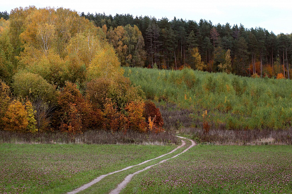 Конная прогулка для двоих в Нижнем Новгороде. Подарочные сертификаты Ultra Подарки. Купить оригинальный подарок или подарочный сертификат на Конная прогулка для двоих в Нижнем Новгороде. Сервис UltraPodarki.ru 8-800-505-9530. Катание на лошадях, Прогулка на лошади, Прогулка на лошадях для двоих, Конная прогулка для двоих, конный клуб, Казачий Конный клуб , конная прогулка, конная прогулка в Нижнем Новгороде