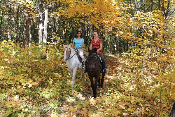 Конная прогулка в Нижнем Новгороде. Подарочные сертификаты Ultra Подарки. Купить оригинальный подарок или подарочный сертификат на Конная прогулка в Нижнем Новгороде. Сервис UltraPodarki.ru 8-800-505-9530. Катание на лошадях, Прогулка на лошади, Прогулка на лошадях для двоих, Конная прогулка, конный клуб, Конный клуб Третьяковка, конная прогулка, конная прогулка в Нижнем Новгороде