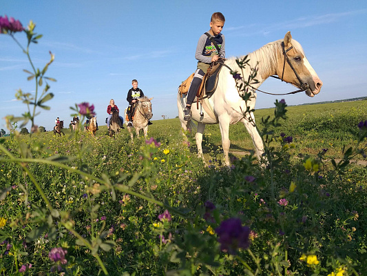 Конная прогулка в Нижнем Новгороде. Подарочные сертификаты Ultra Подарки. Купить оригинальный подарок или подарочный сертификат на Конная прогулка в Нижнем Новгороде. Сервис UltraPodarki.ru 8-800-505-9530. Катание на лошадях, Прогулка на лошади, Прогулка на лошадях для двоих, Конная прогулка, конный клуб, Конный клуб Третьяковка, конная прогулка, конная прогулка в Нижнем Новгороде
