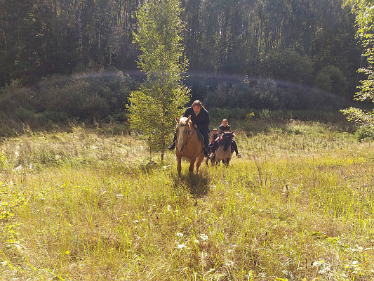 Конная прогулка для двоих в Нижнем Новгороде. Подарочные сертификаты Ultra Подарки. Купить оригинальный подарок или подарочный сертификат на Конная прогулка для двоих в Нижнем Новгороде. Сервис UltraPodarki.ru 8-800-505-9530. Катание на лошадях, Прогулка на лошади, Прогулка на лошадях для двоих, Конная прогулка для двоих, конный клуб, Казачий Конный клуб , конная прогулка, конная прогулка в Нижнем Новгороде