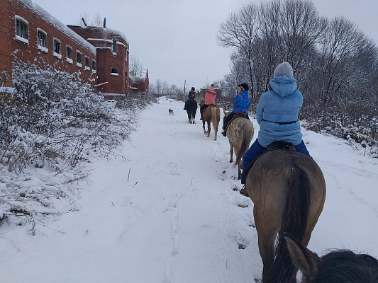 Конная прогулка в Нижнем Новгороде. Подарочные сертификаты Ultra Подарки. Купить оригинальный подарок или подарочный сертификат на Конная прогулка в Нижнем Новгороде. Сервис UltraPodarki.ru 8-800-505-9530. Катание на лошадях, Прогулка на лошади, Прогулка на лошадях для двоих, Конная прогулка, конный клуб, Конный клуб Третьяковка, конная прогулка, конная прогулка в Нижнем Новгороде