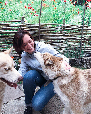 Катание на хаски в Нижнем Новгороде. Ultra Подарки. Катание на хаски в Нижнем Новгороде. Попробуйте Катание на хаски. Сервис: UltraPodarki.ru 8 800 505 95 30. Катание на хаски Нижний Новгород, Катание на хаски в Нижнем Новгороде, хаски, животные в Нижнем Новгороде, 