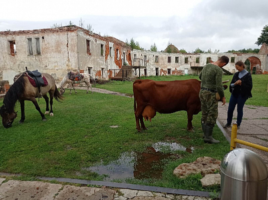 Конная прогулка для двоих в Нижнем Новгороде. Подарочные сертификаты Ultra Подарки. Купить оригинальный подарок или подарочный сертификат на Конная прогулка для двоих в Нижнем Новгороде. Сервис UltraPodarki.ru 8-800-505-9530. Катание на лошадях, Прогулка на лошади, Прогулка на лошадях для двоих, Конная прогулка для двоих, конный клуб, Казачий Конный клуб , конная прогулка, конная прогулка в Нижнем Новгороде