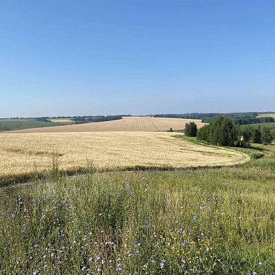 Конная прогулка для двоих в Нижнем Новгороде. Подарочные сертификаты Ultra Подарки. Купить оригинальный подарок или подарочный сертификат на Конная прогулка для двоих в Нижнем Новгороде. Сервис UltraPodarki.ru 8-800-505-9530. Катание на лошадях, Прогулка на лошади, Прогулка на лошадях для двоих, Конная прогулка для двоих, конный клуб, Казачий Конный клуб , конная прогулка, конная прогулка в Нижнем Новгороде