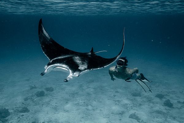 Фридайвинг в Нижнем Новгороде. Погружение без акваланга. Ultra Подарки. Фридайвинг. Обучение фридайвингу в Нижнем Новгороде. Купить подарочный сертификат на фридайвинг в Нижнем Новгороде. Школа дайвинга Навионик. UltraPodarki.ru 8 800 505 95 30. Фридайвинг отзывы, Дайвинг цены, Дайвинг клуб, Обучение дайвингу, школа дайвинга. Подводный мир. Подводное погружение, дайвинг погружение Нижний Новгород, подводное плавание Нижний Новгород, дайвинг клуб Нижний Новгород, подарочные сертификаты, глубокое погружение, погружение с аквалангом Нижний Новгород, дайвинг центр Нижний Новгород, купить дайвинг Навионик Нижний Новгород