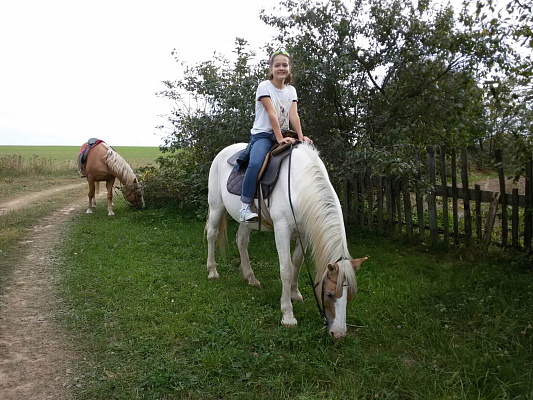 Конная прогулка в Нижнем Новгороде. Подарочные сертификаты Ultra Подарки. Купить оригинальный подарок или подарочный сертификат на Конная прогулка в Нижнем Новгороде. Сервис UltraPodarki.ru 8-800-505-9530. Катание на лошадях, Прогулка на лошади, Прогулка на лошадях для двоих, Конная прогулка, конный клуб, Конный клуб Третьяковка, конная прогулка, конная прогулка в Нижнем Новгороде