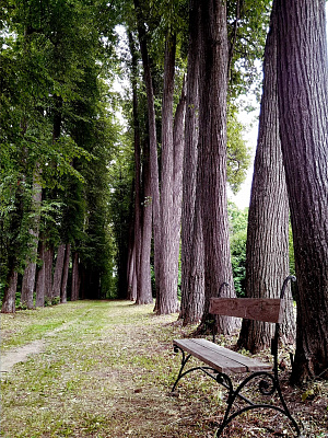 Прокат квадроциклов  в Нижнем Новгороде. Сервис Ultra Подарки. Подарочный сертификат на прокат квадроциклов в Нижнем Новгороде. Закажите катание на квадроциклах недорого и наслаждайтесь активным отдыхом с друзьями. Выбирайте живописные маршруты для езды на квадроциклах. Сервис UltraPodarki.ru 8800-505-9530. Катание на квадроциклах, Прокат квадроциклов, езда на квадроцикле, прокат квадроциклов в Нижнем Новгороде, катание на квадроциклах в Нижнем Новгороде, Катание на квадроциклах летом, Катание на квадроциклах зимой, Сертификат на катание на квадроциклах 

