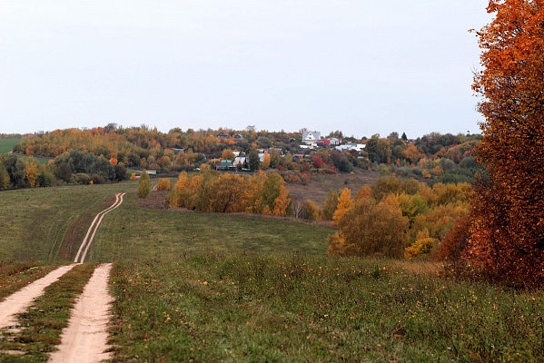 Конная прогулка для двоих в Нижнем Новгороде. Подарочные сертификаты Ultra Подарки. Купить оригинальный подарок или подарочный сертификат на Конная прогулка для двоих в Нижнем Новгороде. Сервис UltraPodarki.ru 8-800-505-9530. Катание на лошадях, Прогулка на лошади, Прогулка на лошадях для двоих, Конная прогулка для двоих, конный клуб, Казачий Конный клуб , конная прогулка, конная прогулка в Нижнем Новгороде