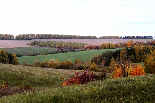 Конная прогулка для двоих в Нижнем Новгороде. Подарочные сертификаты Ultra Подарки. Купить оригинальный подарок или подарочный сертификат на Конная прогулка для двоих в Нижнем Новгороде. Сервис UltraPodarki.ru 8-800-505-9530. Катание на лошадях, Прогулка на лошади, Прогулка на лошадях для двоих, Конная прогулка для двоих, конный клуб, Казачий Конный клуб , конная прогулка, конная прогулка в Нижнем Новгороде