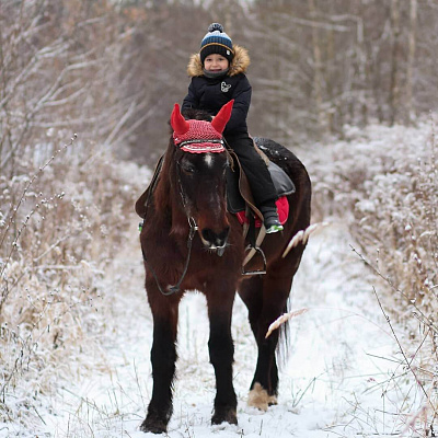 Конная прогулка в Нижнем Новгороде. Подарочные сертификаты Ultra Подарки. Купить оригинальный подарок или подарочный сертификат на Конная прогулка в Нижнем Новгороде. Сервис UltraPodarki.ru 8-800-505-9530. Катание на лошадях, Прогулка на лошади, Прогулка на лошадях для двоих, Конная прогулка, конный клуб, Конный клуб Третьяковка, конная прогулка, конная прогулка в Нижнем Новгороде