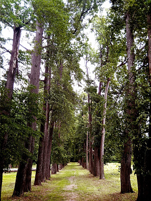 Катание на квадроциклах в Нижнем Новгороде. Сервис Ultra Подарки. Подарочный сертификат на катание на квадроциклах в Нижнем Новгороде. Катание на квадроциклах, Прокат квадроциклов, езда на квадроцикле, прокат квадроциклов в Нижнем Новгороде, катание на квадроциклах в Нижнем Новгороде, Катание на квадроциклах зимой, Катание на квадроциклах летом, Сертификат на катание на квадроциклах 

